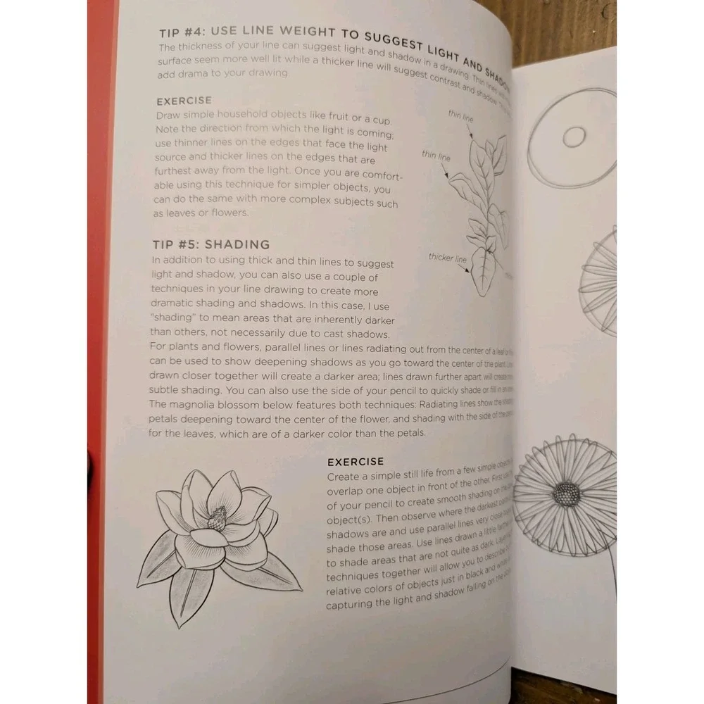 Quarry Draw Like an Artist: 100 Flowers & Plants Step-by-Step Line Drawing
